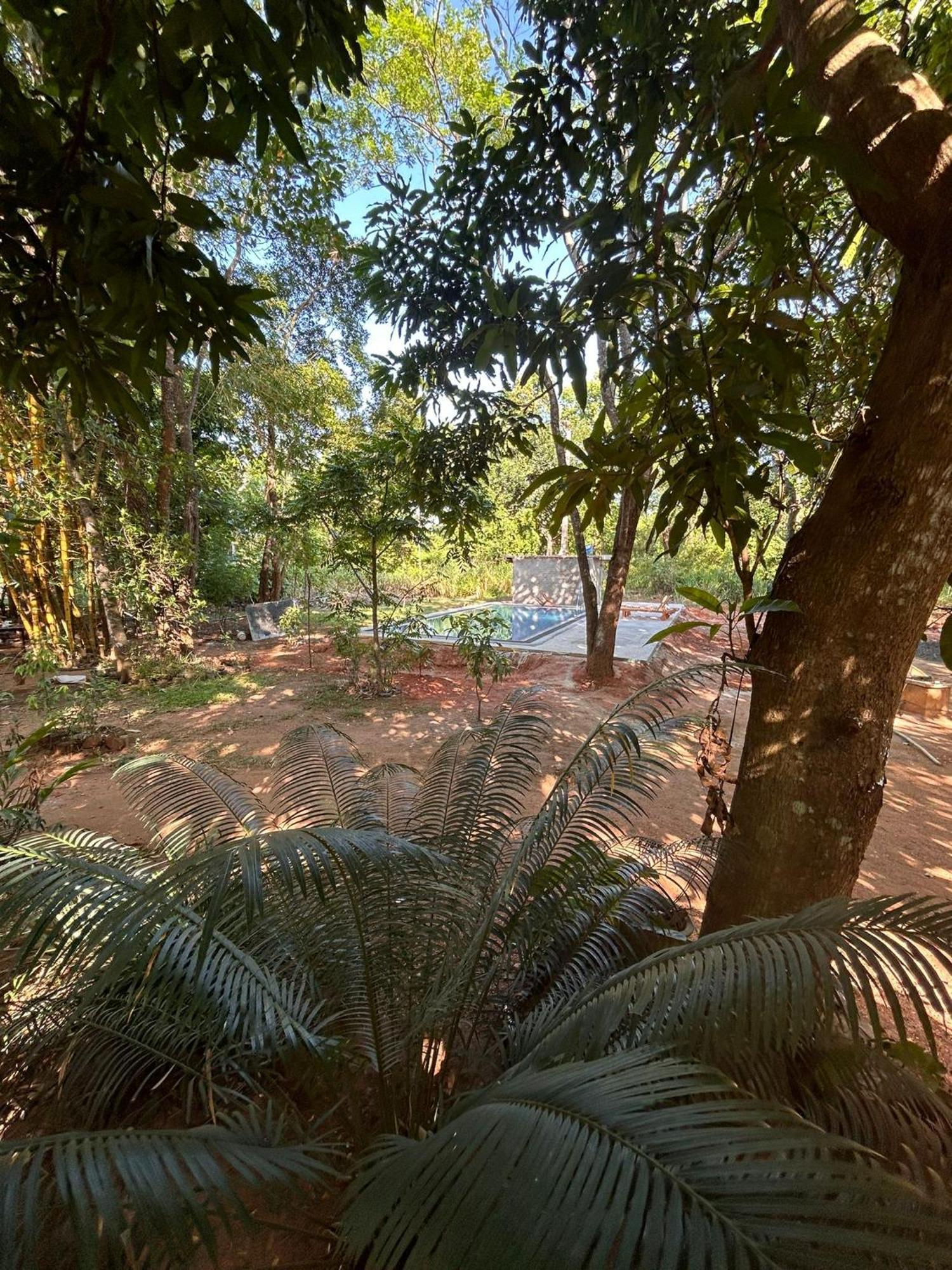 Isanka Lion Lodge Sigiriya Exterior photo